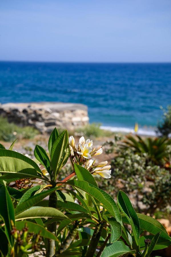 Marina Apartments Λέντας Εξωτερικό φωτογραφία